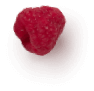 raspberry-2